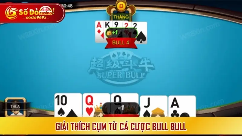 Giải thích cụm từ cá cược Bull bull