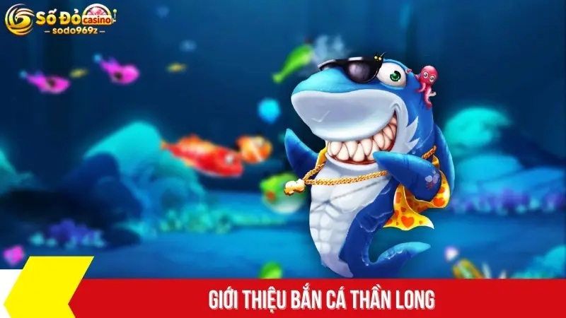 Giới thiệu bắn cá thần long