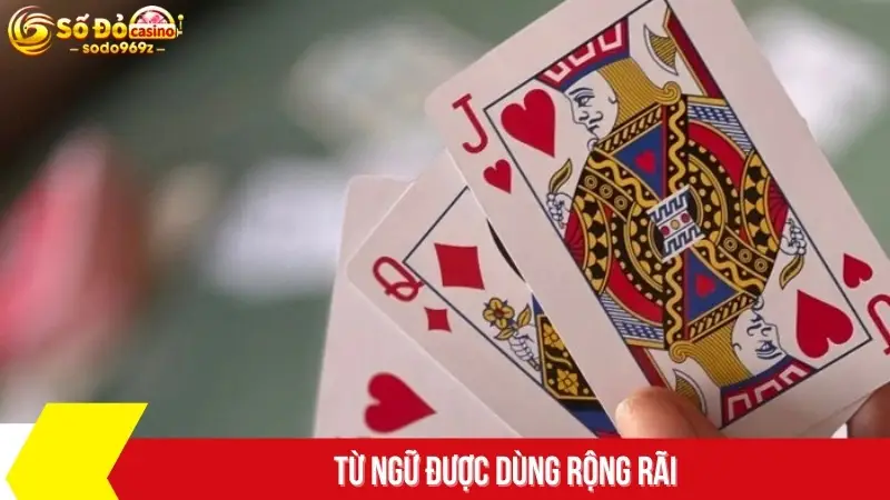 Từ ngữ được dùng rộng rãi